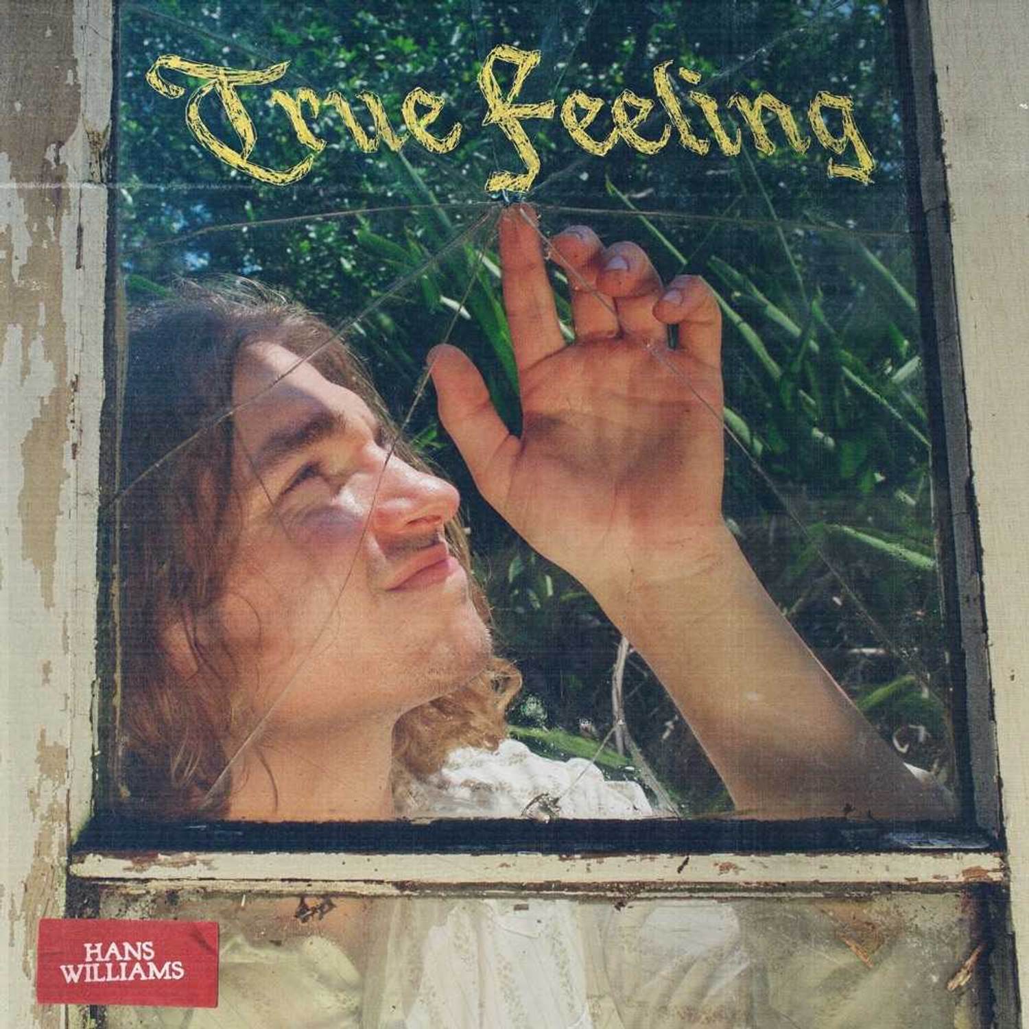 Hans Williams – “True Feeling”