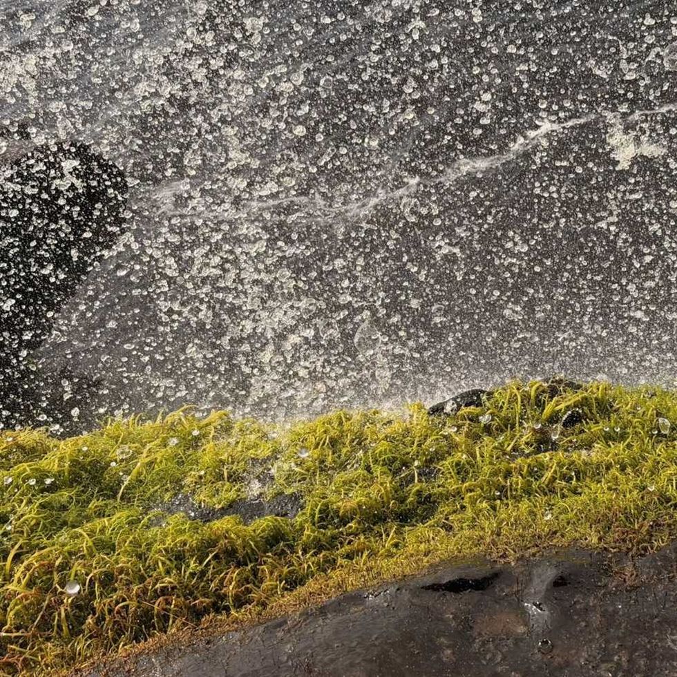 Water splashing on moss-covered rocks.